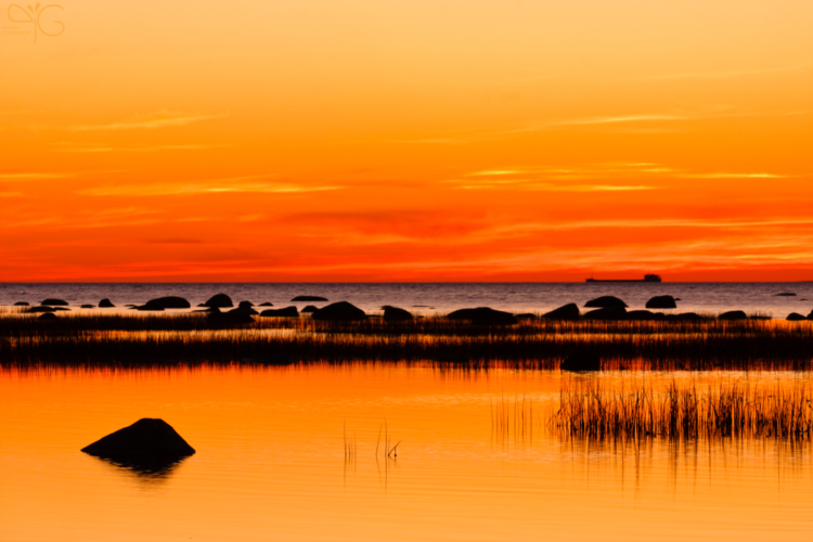 Gulf of Finland at sunset, LO | Финский залив на закате, ЛО — 63616